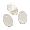 Подвеска Овал монета шильдик, перламутр, 14х10 мм, 29.17