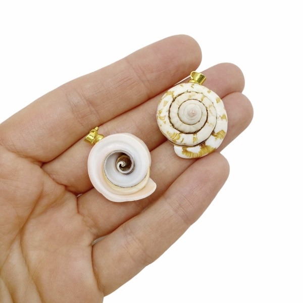 Подвеска Ракушка натуральная 25 мм, 32.110